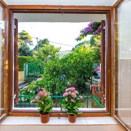 Apartment Borik